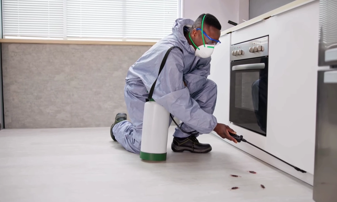 Rodent Control Idaho Falls Rodent Control Idaho Falls