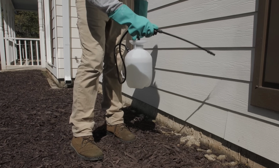 Rodent Control Idaho Falls Rodent Control Idaho Falls