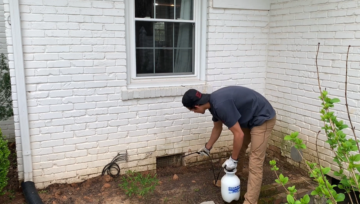 Rodent Control Idaho Falls Rodent Control Idaho Falls