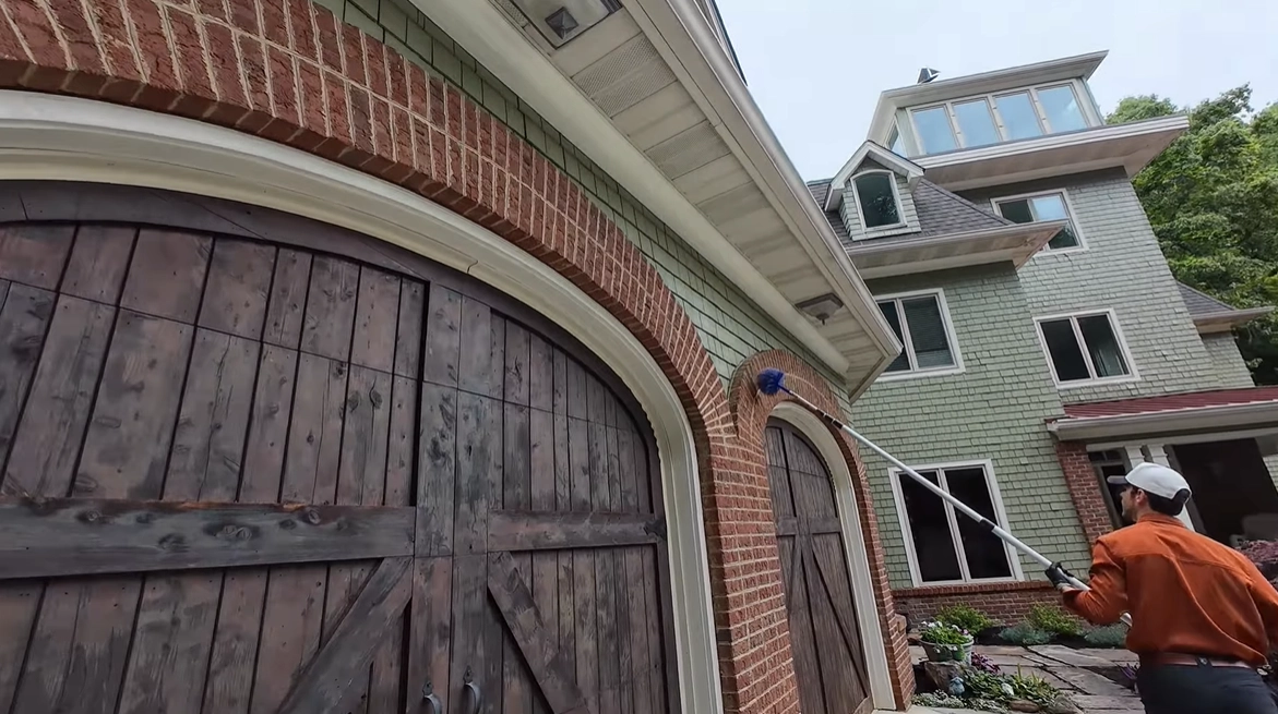 Home Insurance Cover Rodent Damage 