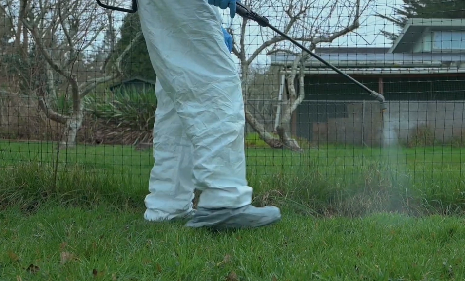 Rodent Control Idaho Falls Rodent Control Idaho Falls