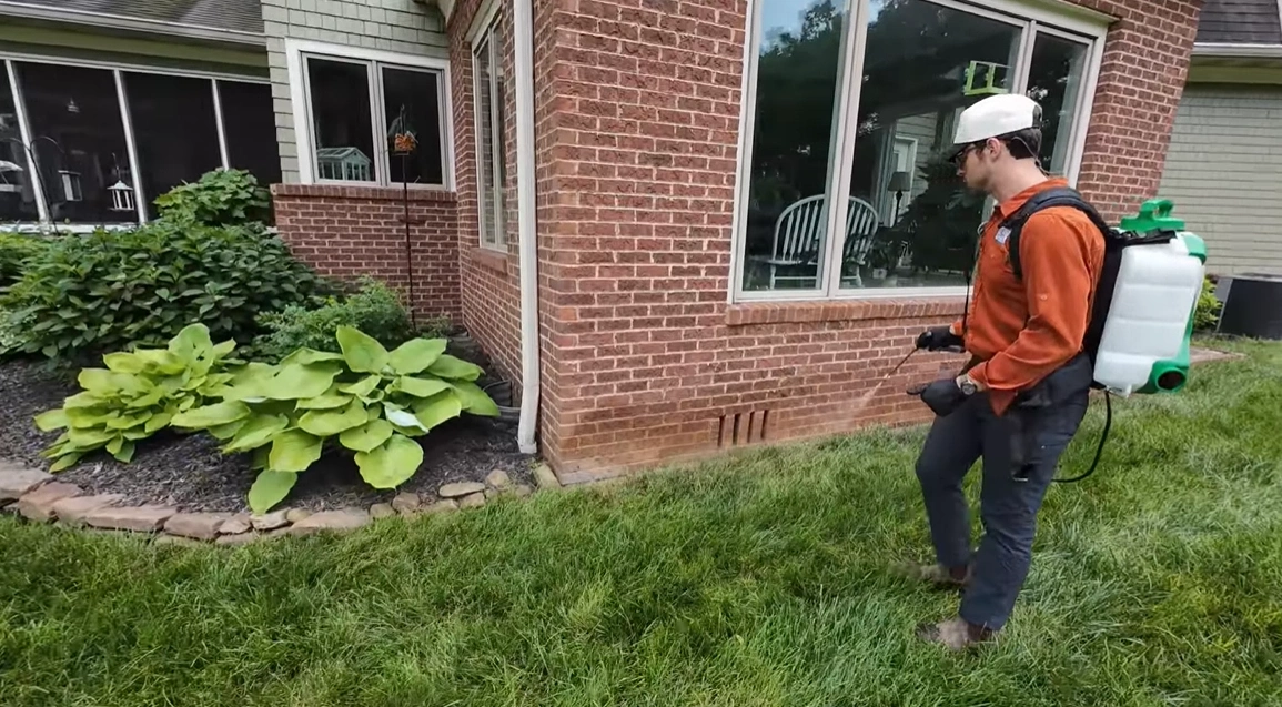 Commercial Rodent Control 